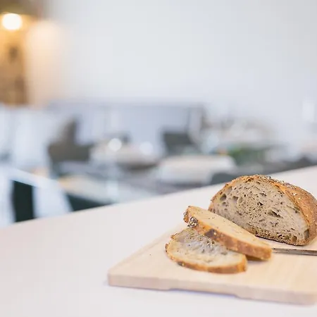 公寓 Flateli Placa Catalunya 1.1 *