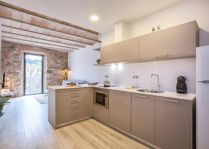 Flateli Placa Catalunya 1.1