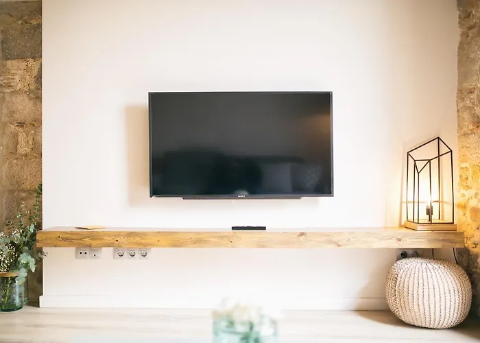 Apartamento Flateli Plaça Catalunya 1.1